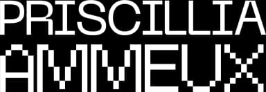 logo d'entreprise (Priscillia AMMEUX)